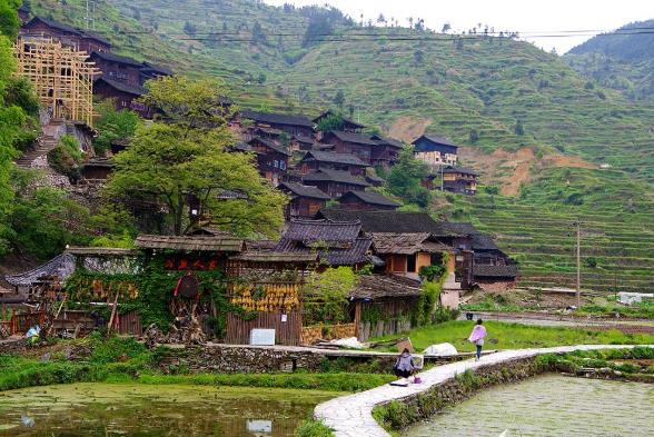 七部門印發(fā)《關于推動農(nóng)村人居環(huán)境標準體系建設的指導意見》