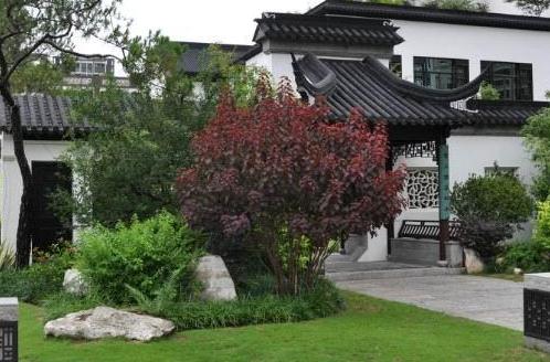 中式園林的特點，大家可以看看這3點！