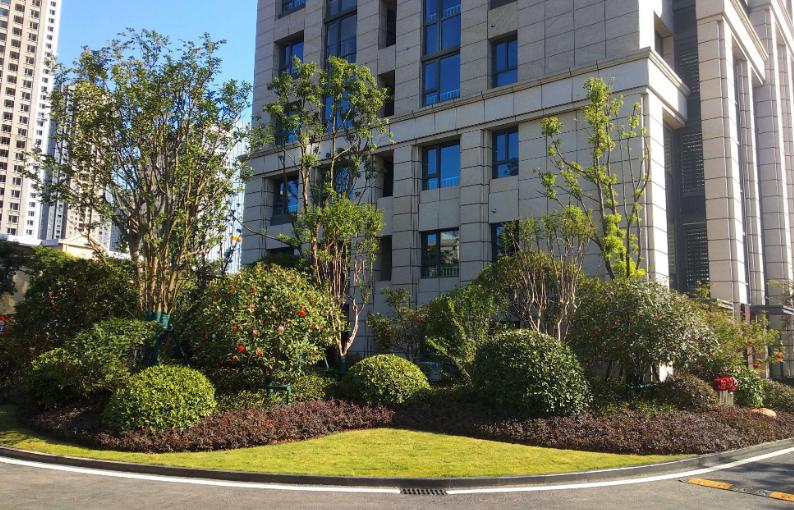 降溫了！湖北園林綠化公司分享植物萎蔫后的如何養(yǎng)護(hù)和復(fù)壯