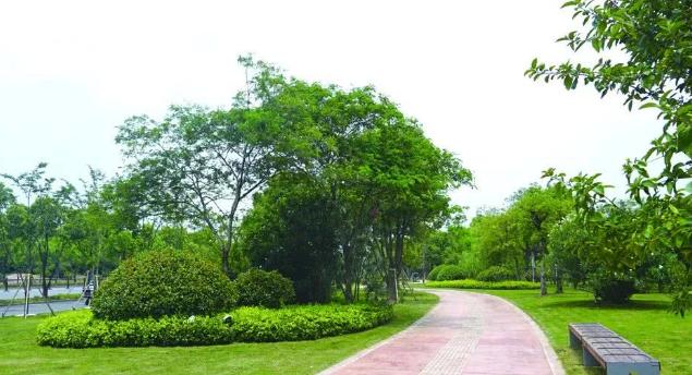 襄陽景觀設計公司分享花卉盆景越冬養(yǎng)護管理 