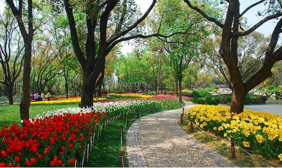 雪后，對(duì)受“硬傷”和“軟傷”的苗木 怎么養(yǎng)護(hù)