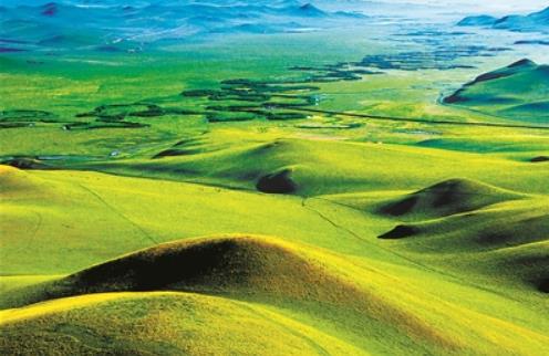 專家：如何發(fā)揮草地多功能助力國家公園建設(shè)？