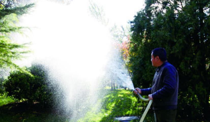 春季氣溫開始回升，湖北凱蒂園林提醒：做好這些養(yǎng)護舉措，苗木來年存活好，長枝快