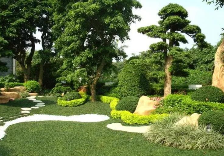 園林景觀設(shè)計之植物墻設(shè)計在哪些地方適合？